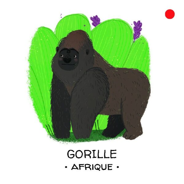 La forêt tropical - PROTEGEONS LES ANIMAUX - Sassi – Image 2