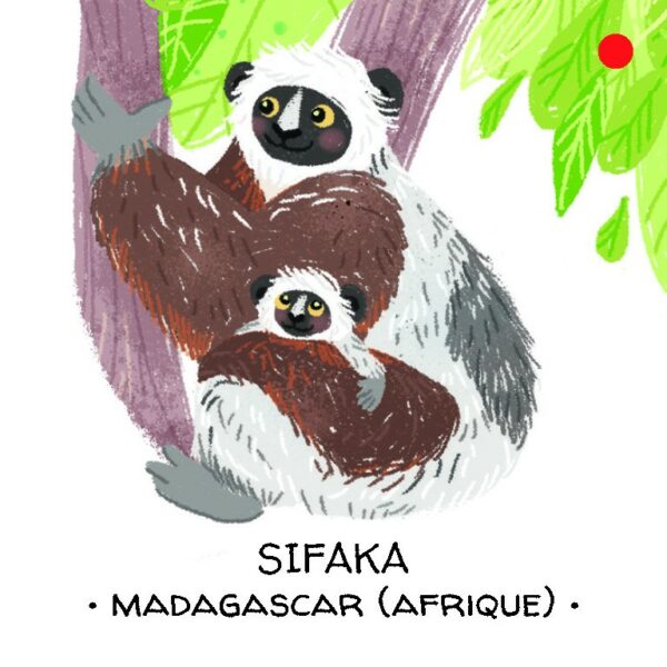 La forêt tropical - PROTEGEONS LES ANIMAUX - Sassi – Image 3