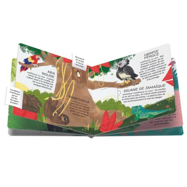 La forêt tropical - PROTEGEONS LES ANIMAUX - Sassi – Image 5