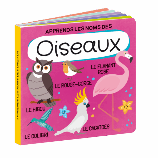 Q-box Le monde des oiseaux - Sassi – Image 2