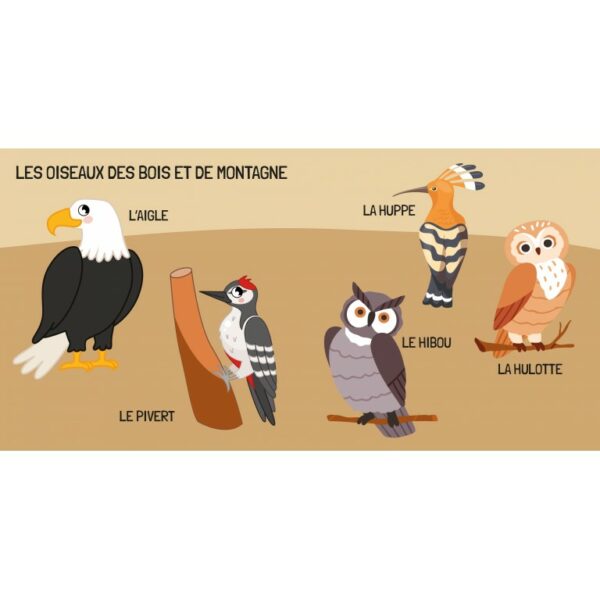Q-box Le monde des oiseaux - Sassi – Image 3