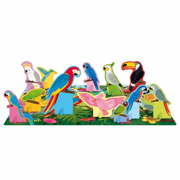 Q-box Le monde des oiseaux - Sassi – Image 4